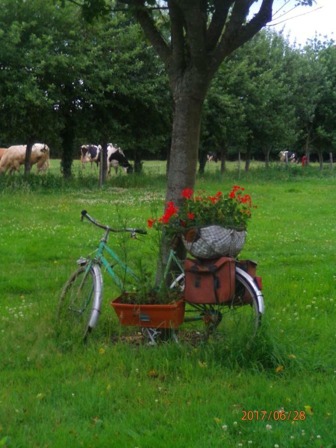 Camping Du Creulet Crouay エクステリア 写真