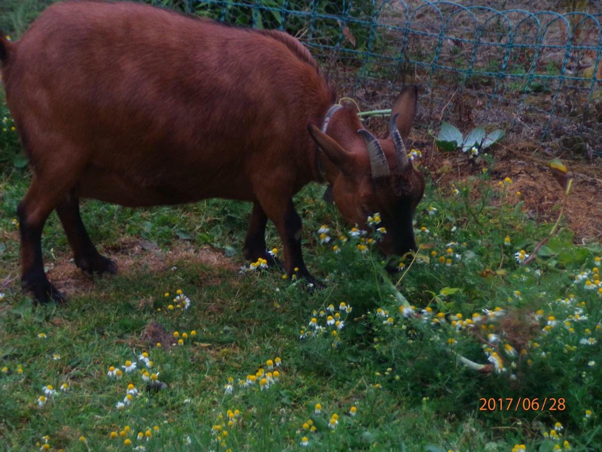 Camping Du Creulet Crouay エクステリア 写真